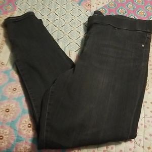 Liverpool pull on Jeans- 16